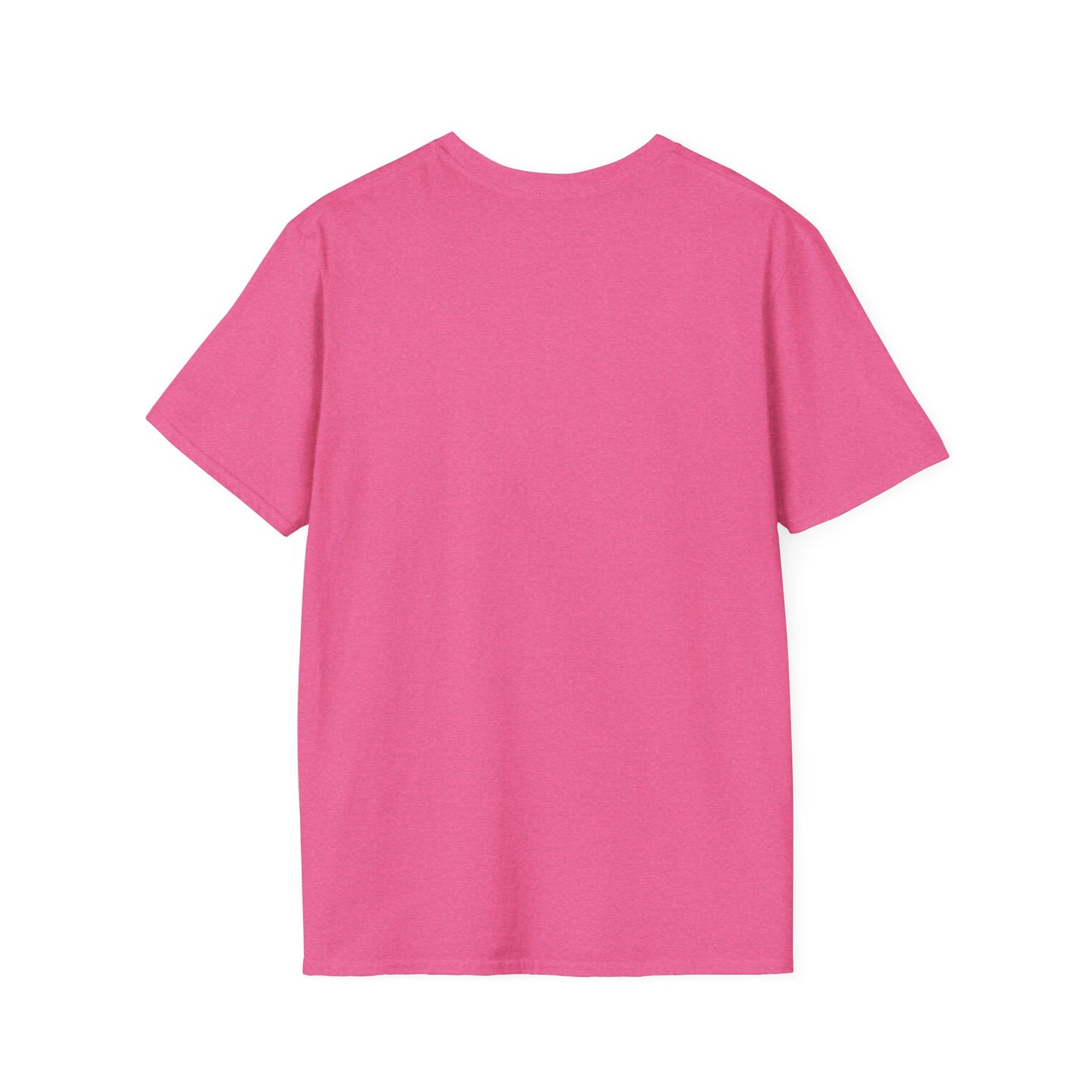 Plymouth Pirates Bear T-Shirt
