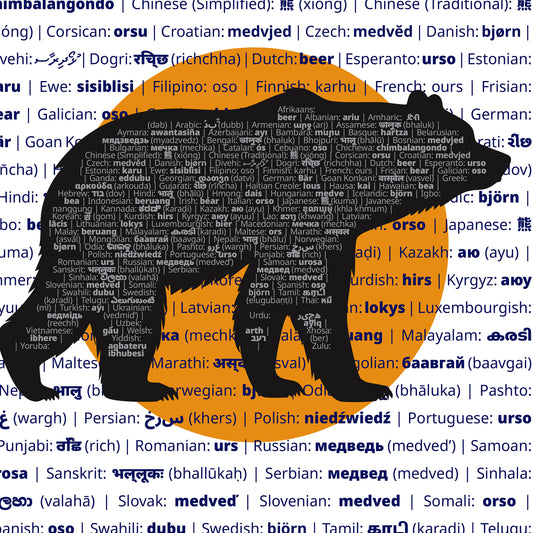 Babel Bear T-Shirt - Global Bears Design