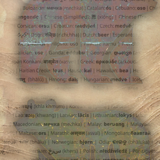 Language of Bears T-Shirt - Global Bears Design